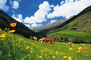 Large holiday home with garden and balcony in Ötztal Längenfeld